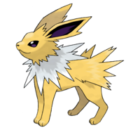 El Pokémon Jolteon es de color amarillo claro. Su pelaje parece puntiagudo con una serie de mechones puntiagudos y radiantes que se asemejan a rayos o chispas eléctricas, dándole un aspecto ligeramente espinoso o peludo. El pelaje alrededor del cuello y la parte superior de la espalda es de un color más claro, casi blanquecino